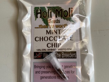 Vente: 6 FEMINIZED MINT CHOCOLATE CHIP SEEDS