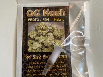 Sell: 6 FEMINIZED OG KUSH SEEDS