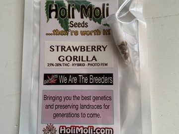 Venta: 6 FEMINIZED STRAWBERRY GORILLA SEEDS