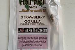 Vente: 6 FEMINIZED STRAWBERRY GORILLA SEEDS