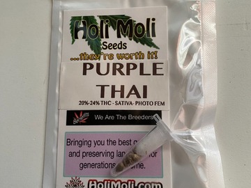 Sell: 6 FEMINIZED PURPLE THAI SEEDS