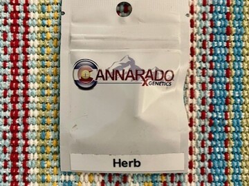 Venta: Cannarado Genetics -  Herb