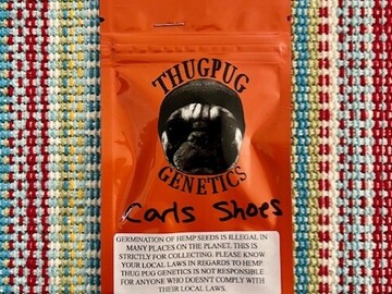 Thug Pug Genetics - Carls Shoes