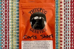 Vente: Thug Pug Genetics - Carls Shoes