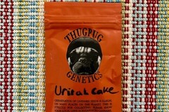 Vente: Thug Pug Genetics - Urinal Cake