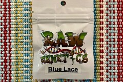 Vente: Raw Genetics - Blue Lace