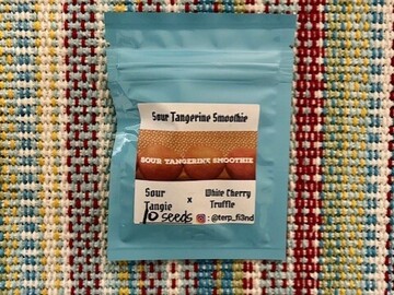 Sell: Terp Fiend - Sour Tangerine Smoothie