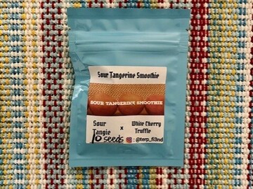 Vente: Terp Fiend - Sour Tangerine Smoothie