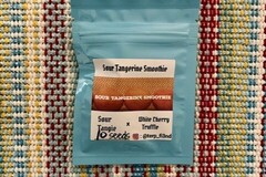 Sell: Terp Fiend - Sour Tangerine Smoothie