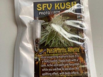 Venta: 6 FEMINIZED SAN FERNANDO VALLEY KUSH SEEDS