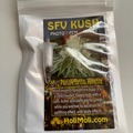 Sell: 6 FEMINIZED SAN FERNANDO VALLEY KUSH SEEDS