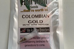 Vente: 6 FEMINIZED COLOMBIAN GOLD SEEDS