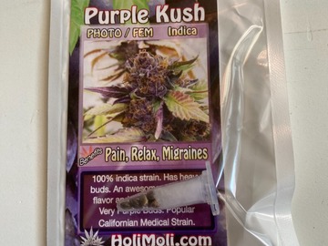 Vente: 6 FEMINIZED PURPLE KUSH SEEDS