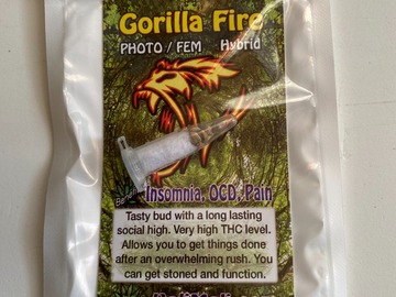 Vente: 6 FEMINIZED GORILLA FIRE SEEDS