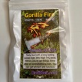 Sell: 6 FEMINIZED GORILLA FIRE SEEDS