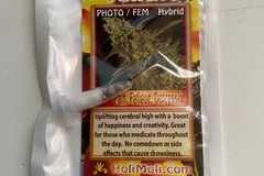 Sell: 6 FEMINIZED TANGIE SEEDS