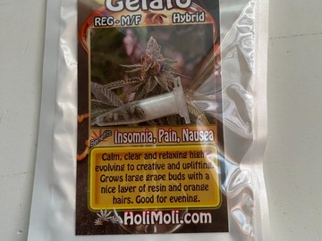 Venta: 8 REGULAR M/F GELATO SEEDS