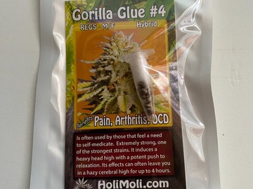 Sell: 8 REGULAR M/F GORILLA GLUE #4 SEEDS