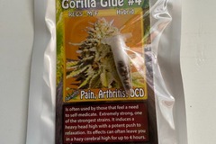 Vente: 8 REGULAR M/F GORILLA GLUE #4 SEEDS