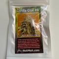 Vente: 8 REGULAR M/F GORILLA GLUE #4 SEEDS