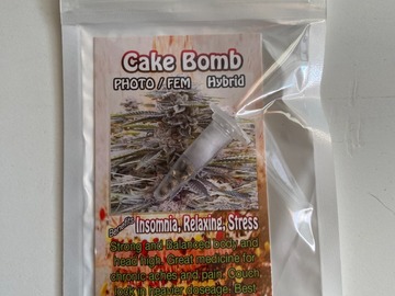 Sell: 6 FEMINIZED CAKE BOMB SEEDS