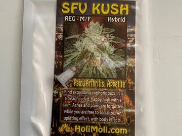 Vente: 8 REGULAR M/F SAN FERNANDO VALLEY KUSH SEEDS