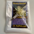 Vente: 8 REGULAR M/F BRUCE BANNER SEEDS