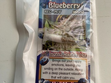 Venta: 8 REGULAR M/F BLUEBERRY SEEDS