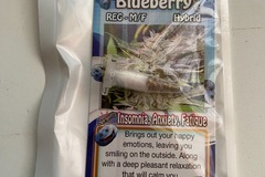 Sell: 8 REGULAR M/F BLUEBERRY SEEDS