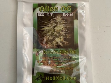 Vente: 8 REGULAR M/F ALIEN OG SEEDS