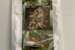 Sell: 8 REGULAR M/F ALIEN OG SEEDS