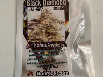 Vente: 8 REGULAR M/F BLACK DIAMOND SEEDS