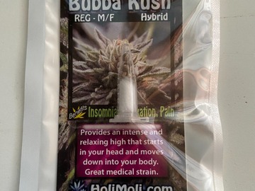 Vente: 8 REGULAR M/F BUBBA KUSH SEEDS