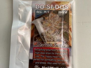 Sell: 8 REGULAR M/F DO-SI-DOS SEEDS