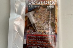 Sell: 8 REGULAR M/F DO-SI-DOS SEEDS