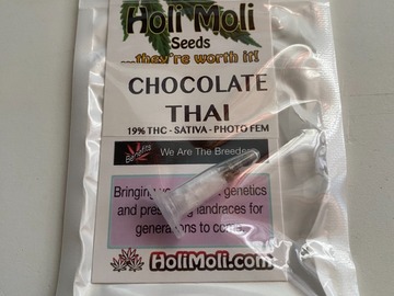 Sell: 6 FEMINIZED CHOCOLATE THAI SEEDS