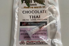 Venta: 6 FEMINIZED CHOCOLATE THAI SEEDS