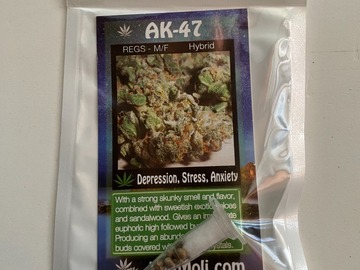 Venta: 8 REGULAR M/F AK47 SEEDS