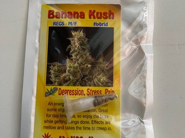 Vente: 8 REGULAR M/F BANANA KUSH SEEDS