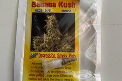 Vente: 8 REGULAR M/F BANANA KUSH SEEDS