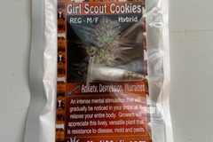 Vente: 8 REGULAR M/F GIRL SCOUT COOKIES SEEDS