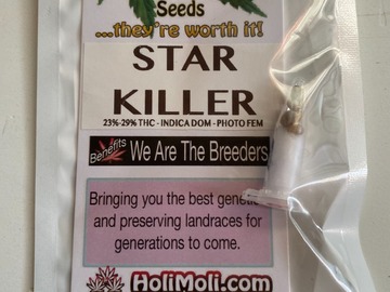 Vente: 6 FEMINIZED STAR KILLER SEEDS