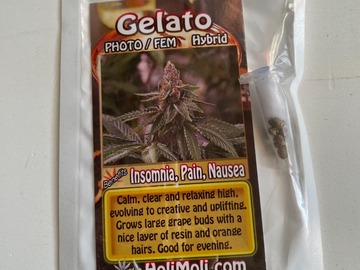 Sell: 6 FEMINIZED GELATO SEEDS