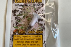 Sell: 6 FEMINIZED COOKIES AND CREAM SEEDS