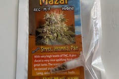 Venta: 8 REGULAR M/F MAZAR SEEDS