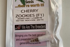 Sell: 6 FEMINIZED CHERRY ZOOKIES FAST