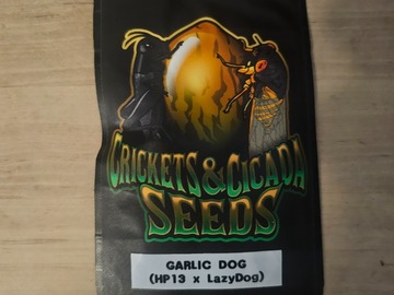 Sell: Garlic Dog