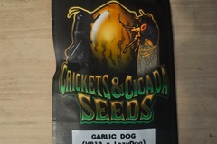 Sell: Garlic Dog