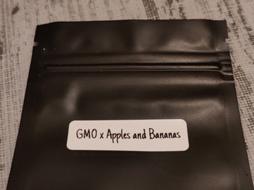 Sell: GMO x Apples and Bananas 12 Feminized Seeds