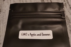 Venta: GMO x Apples and Bananas 12 Feminized Seeds